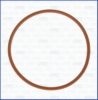 CITRO 036526 Gasket / Seal